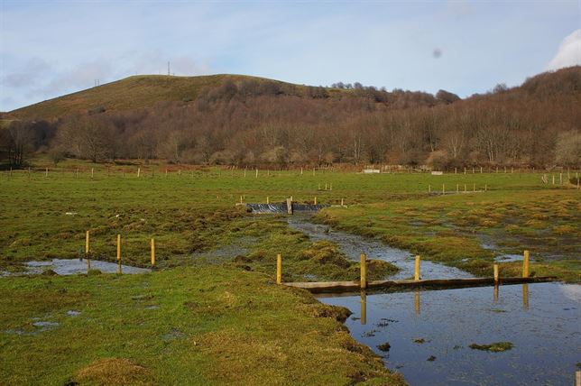 Navarra recibe ayuda de Europa para conservar las ocho turberas de la Comunidad