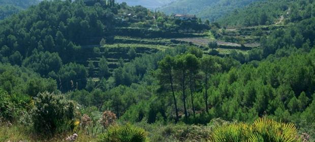 Plan de conservación de los parques del Garraf y Olèrdola