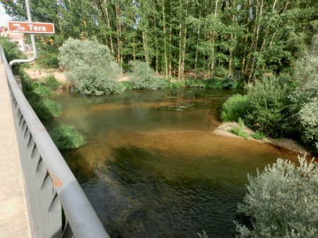 La empresa Soria Natural ha realizado vertidos ilegales al río Tera