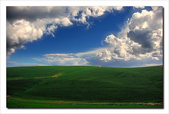 Un estudio destaca la eficacia de la conservación ecológica frente a la restauración