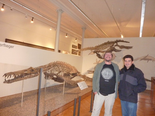 Presentan nueva especie y género de reptil marino