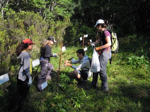 El Alto Sil y Omaña (León) alberga proyectos con urogallos