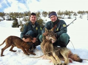 La credibilidad del jefe del Servicio Territorial de Medio Ambiente en Palencia ‘bajo sospecha’