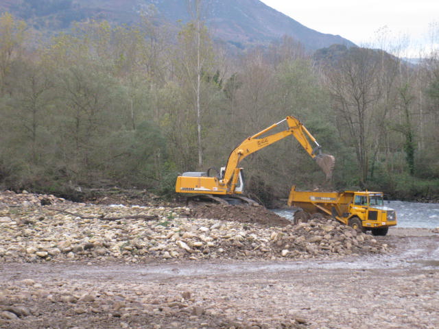 Asturias.  Dragan el río Narcea en plena freza del salmón
