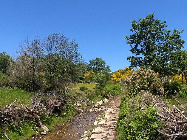 La Xunta asegura que el incendio registrado en Lobios (Ourense) "no afectó en absoluto" al parque natural