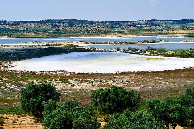 Reserva Natural de las Saladas de Chiprana ‘entre algodones’