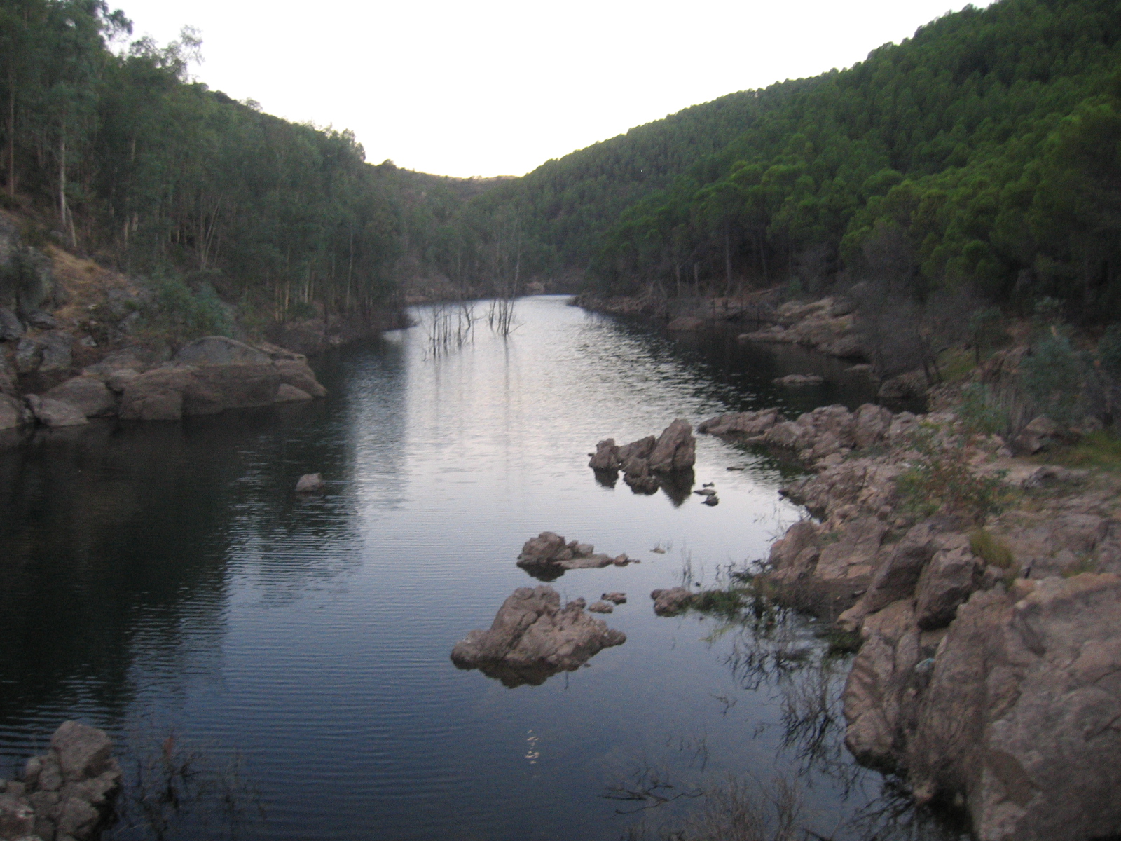 Ecologistas denuncian al Seprona que el nerofumo "ha contaminado" las aguas del embalse del Jarrama