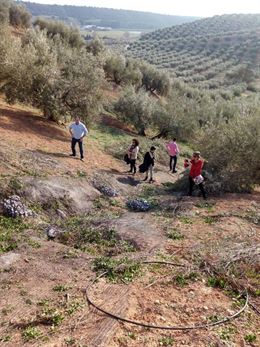 El proyecto Life CREAMAagua ha plantado más de 4.000 vegetales en los Monegros