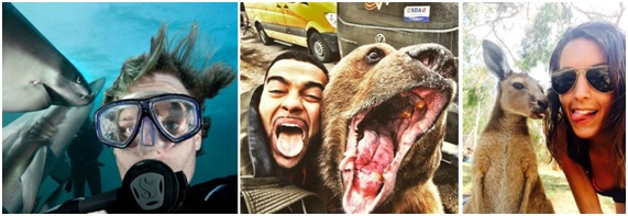 El turismo salvaje continúa