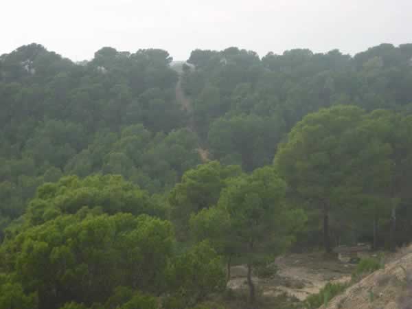 El MARM publica un plano explicativo del Camino Natural de la Sierra de San Quílez