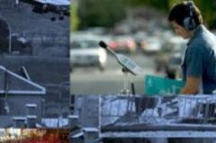 Curso online. Estudios acústicos en actividades