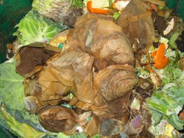 Las escuelas de Gernika crearán 21.000 litros de compost anuales