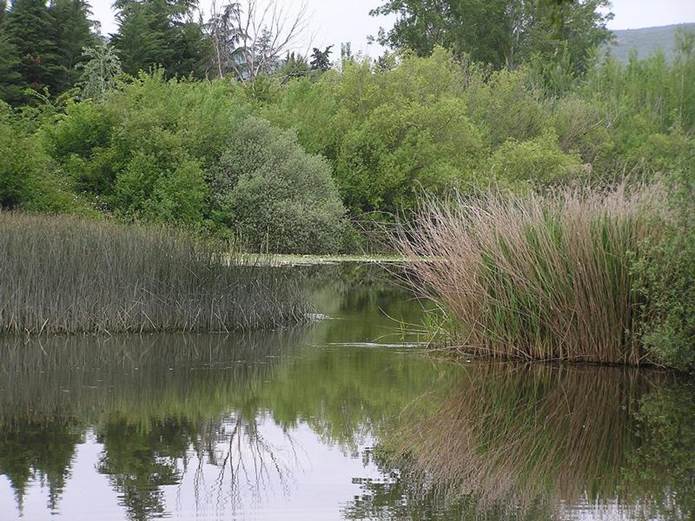 Comunitat Valenciana