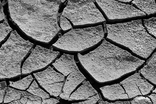 Agricultura murciana y cambio climático