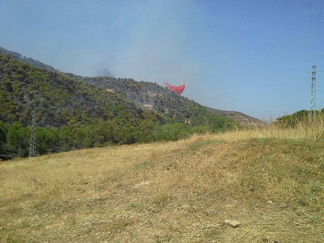 El Ministerio de Agricultura