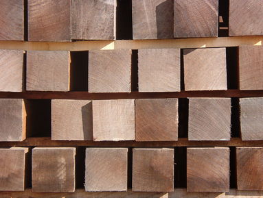 El Laboratorio Acreditado de Madera de TECNALIA caracteriza física y mecánicamente maderas tropicales de COPADE