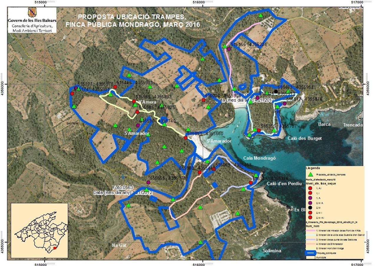 Baleares. Objetivo: salvar los pinos en el Parque Natural de Mondragó