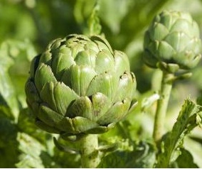 Los vegetales ayudan a prevenir enfermedades