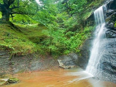 Parques Nacionales de España edita un libro para concienciar sobre su conservación