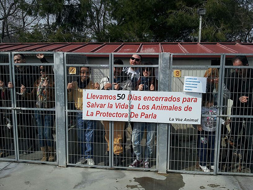 Parla (Madrid) y la desprotección animal