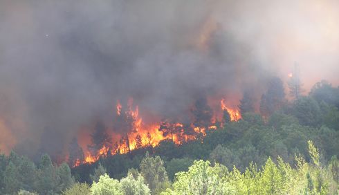 Galicia. Técnicos municipales visitan las zonas afectadas por el incendio de Valdeorras (Ourense) para evaluar los daños