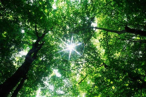 Sabías que puedes trabajar gestionando y conservando la naturaleza