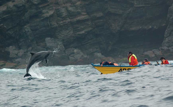 Chile: Piden proteger la biodiversidad amenazada por un megaproyecto minero