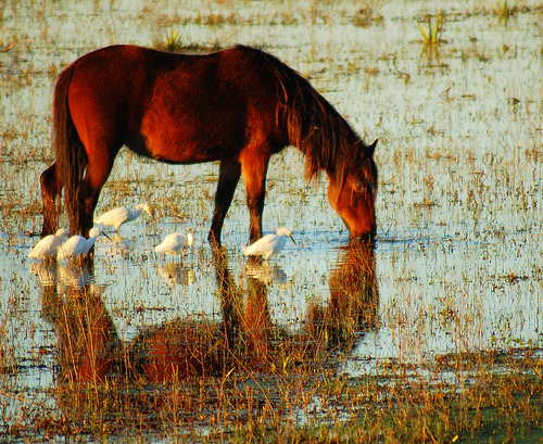 ANAPRI celebró el Día Internacional de la Diversidad Biológica