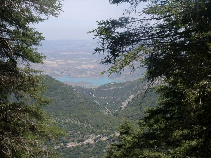 Cádiz. El polígono industrial de Grazalema