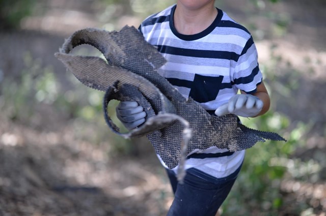 Consumir productos locales y usar la bici