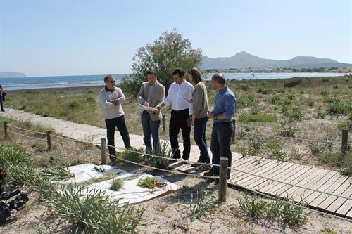 Retiran flora invasora de los espacios naturales de Baleares