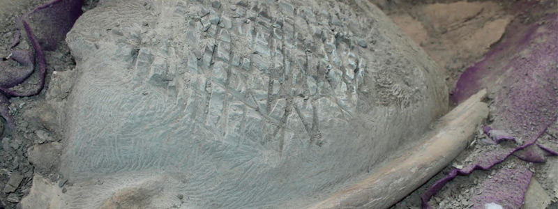 San Juan de la Costa