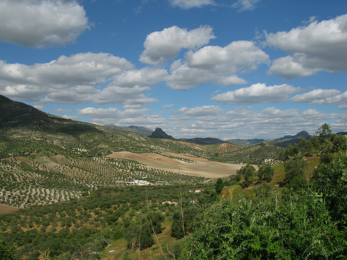 La Junta ratifica su liderazgo en la lucha ante el cambio climático con el 75% de las medidas del Plan de Mitigación ejecutadas