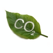 Guyana aumenta el empleo en actividades con bajo nivel de emisiones de carbono con una donación de US$5 millones del BID