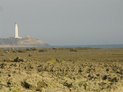 IU denuncia ante el Gobierno el macrohotel de El Palmar