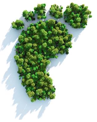 Regresa el exitoso curso de CREARA de cálculo de huella de carbono y desarrollo de planes de reducción