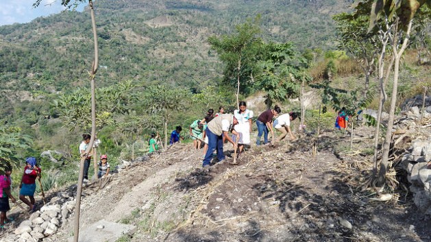 América Latina es la región más desigual en la distribución de la tierra