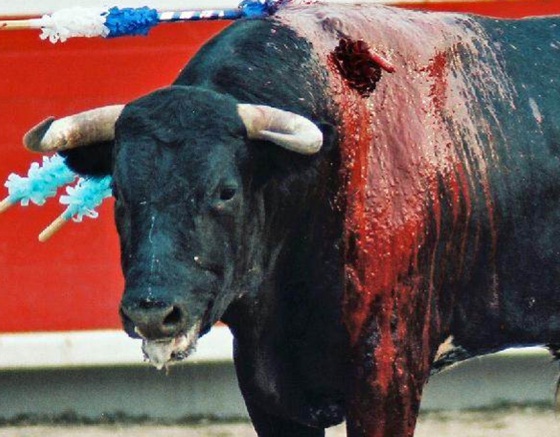 Piden a la Comunidad de Madrid que retire los 2