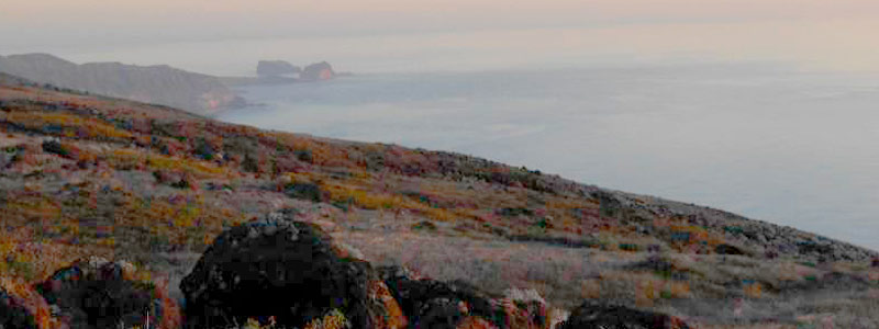 Los secretos de la Isla Guadalupe