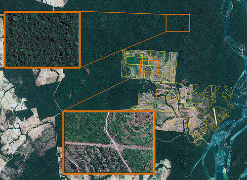 Calculan la cantidad de carbono que almacenan los bosques mexicanos vía satélite