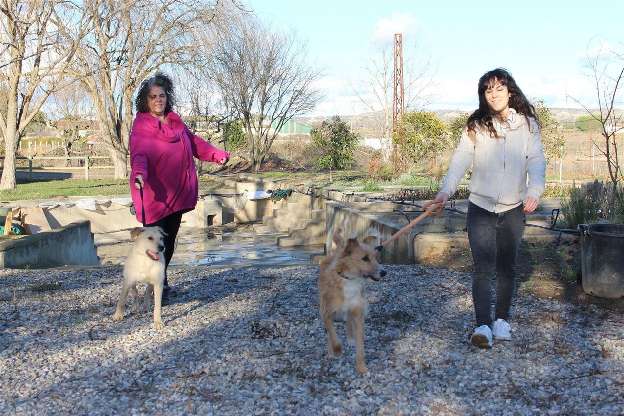 Cuerpo de voluntarios ambientales en Binefar