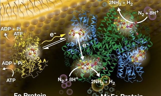 La luz solar abre una ‘revolución’ para producir nuevos fertilizantes ecológicos