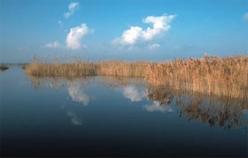 La puesta en marcha este verano de la nueva depuradora de Villarrubia de los Ojos mejorará la calidad de las aguas de Tablas de Daimiel