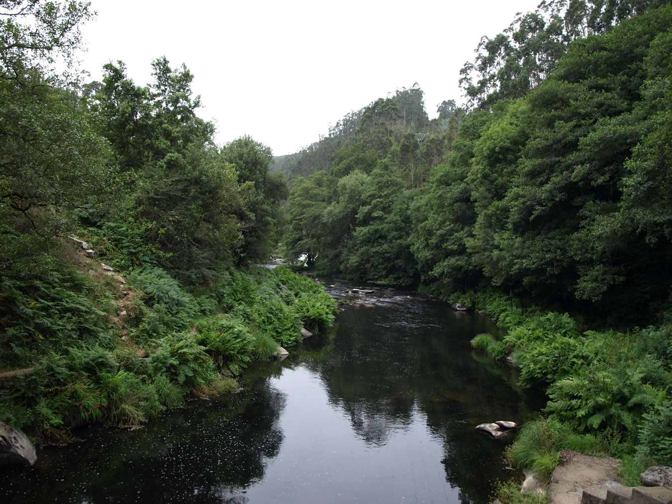 El MARM invierte 2 millones de euros en un convenio de colaboración en los territorios en torno al río Eo