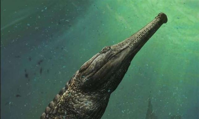 Descubren el fósil del cocodrilo más grande de todos los tiempos