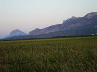 Crean un índice que mide la capacidad de adaptación de la agricultura mediterránea al cambio climático