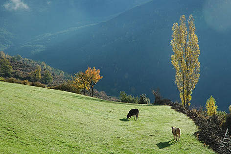 Seminario Financiación red Natura 2000 (2014-2020)