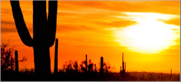 Duke buys two Arizona solar plants