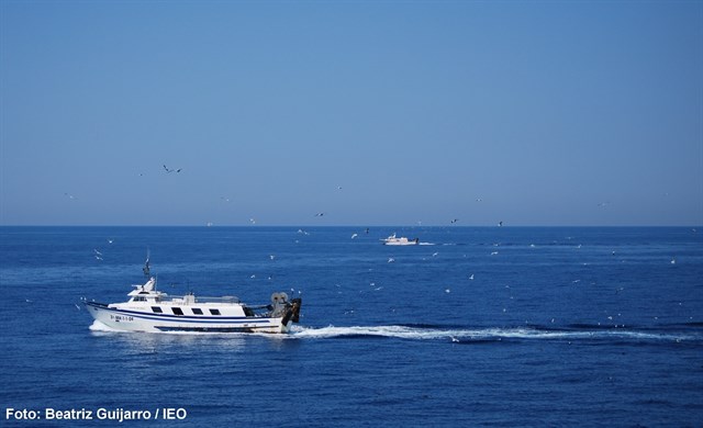 Científicos del IEO desarrollan nuevas tecnologías que "mejoran la eficiencia ecológica" de la pesca de arrastre