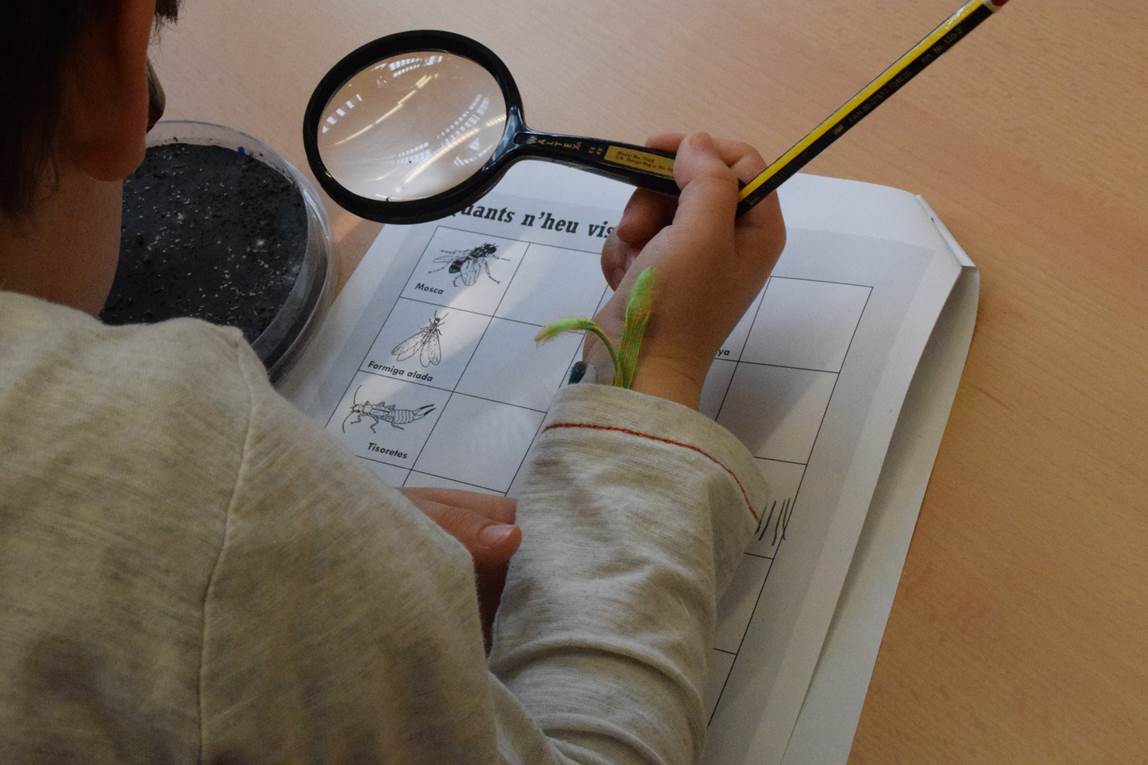 Europa evalúa sus propios proyectos de ciencia ciudadana y biodiversidad